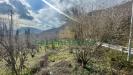 Terreno in vendita a Ospedaletto d'Alpinolo - 05