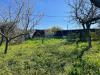 Terreno Agricolo in vendita a Sant'Angelo a Scala - 04, Foto 4