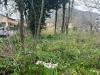 Terreno Edificabile in vendita a Mercogliano - 03, Foto 3