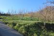 Terreno Agricolo in vendita a Capriglia Irpina - 06, Foto 6