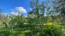 Terreno Agricolo in vendita a Capriglia Irpina - 04, Foto 4