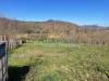 Terreno Agricolo in vendita a Sant'Angelo a Scala - 02, Foto 2