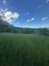 Terreno Agricolo in vendita a Ospedaletto d'Alpinolo - 03, Foto 3