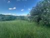 Terreno Agricolo in vendita a Ospedaletto d'Alpinolo - 04, Foto 4