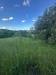 Terreno Agricolo in vendita a Ospedaletto d'Alpinolo - 07, Foto 7