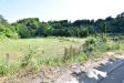 Terreno Agricolo in vendita a Prata di Principato Ultra in via pontecomone - 05, Foto 5
