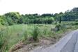 Terreno Agricolo in vendita a Prata di Principato Ultra in via pontecomone - 06, Foto 6
