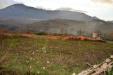 Terreno Edificabile in vendita a Altavilla Irpina in contrada russo - 03, Foto 3