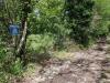 Terreno Agricolo in vendita a Contrada in via fratte - 02, Foto 2