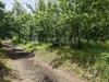Terreno Agricolo in vendita a Contrada in via fratte - 03, Foto 3