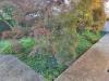 Villa in vendita con giardino a Samarate in via milano - 05, Foto 5