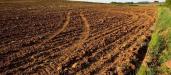 Terreno Agricolo in vendita a Santa Maria a Monte - san donato - 03