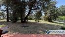 Casa indipendente in vendita con giardino a Palazzolo sull'Oglio - 03, Foto 3