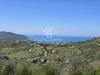 Terreno Agricolo in vendita a Agropoli in via pirandello - 02, Foto 2