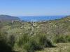 Terreno Agricolo in vendita a Agropoli in via pirandello - 04, Foto 4