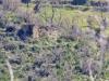 Terreno Agricolo in vendita a Agropoli in via pirandello - 06, Foto 6