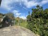 Appartamento in vendita con giardino a Centola in localit piana - 07, Foto 7