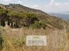 Terreno Agricolo in vendita a Campofelice di Roccella in c.da monte - 04, Foto 4