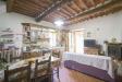 Casa indipendente in vendita con giardino a Massarosa in via di cacetto - 03, Foto 3