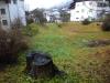 Terreno Edificabile in vendita a Domegge di Cadore in via trento s.n.c. - 02, Foto 2