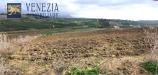 Terreno Agricolo in vendita a Sciacca in contrada carcossea - 06, Foto 6