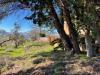 Rustico in vendita da ristrutturare a Tiriolo in localit millea - 06, Foto 6