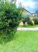 Casa indipendente in vendita con giardino a Massarosa - 02