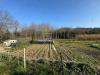 Terreno Agricolo in vendita a Folignano in via ischia - 02, Foto 2