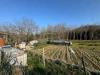 Terreno Agricolo in vendita a Folignano in via ischia - 03, Foto 3