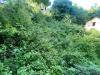 Casa indipendente in vendita con giardino a Roccafluvione in via valcinante - 03, Foto 3