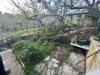 Casa indipendente in vendita con giardino a Ascoli Piceno in valle fiorana - 05, Foto 5
