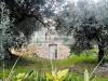 Casa indipendente in vendita da ristrutturare a Vasto in vasto marina - 04, Foto 4