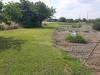 Terreno Agricolo in vendita a Ravenna in argine sx fiume uniti - 03, Foto 3