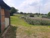 Terreno Agricolo in vendita a Ravenna in argine sx fiume uniti - 04, Foto 4