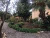 Villa in vendita con giardino a Cascina - san frediano a settimo - 03