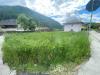 Terreno Edificabile in vendita a Pergine Valsugana - 02, Foto 2