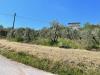 Terreno Agricolo in vendita a Monte San Pietrangeli in via valle - 05, Foto 5