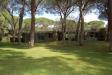 Villa in affitto a Castiglione della Pescaia in localit localit roccamare 0 - rocchette-roccamare-riva del sole - 05