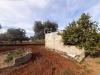 Terreno Agricolo in vendita a San Vito dei Normanni in c.da gaeta piccolo sn - 03, Foto 3