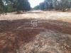 Terreno Agricolo in vendita a San Vito dei Normanni in contrada signoranna - 03, Foto 3