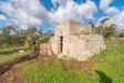 Casa indipendente in vendita da ristrutturare a Carovigno in contrada maresca sn - 03, Foto 3