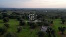 Terreno Agricolo in vendita a Ostuni in contrada boezio - calcagni sn - 04, Foto 4
