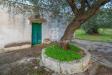 Rustico in vendita con giardino a Ostuni in contrada boezio - calcagni sn - 03, Foto 3