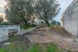 Rustico in vendita con giardino a Ostuni in contrada boezio - calcagni sn - 04, Foto 4