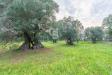 Rustico in vendita con giardino a Ostuni in contrada boezio - calcagni sn - 09, Foto 9