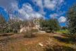 Casa indipendente in vendita da ristrutturare a Cisternino in c.da sisto sn - 08, Foto 8