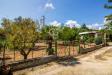 Villa in vendita con giardino a Ostuni in contrada san benedetto sn - 05, Foto 5
