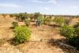 Villa in vendita con giardino a Galatina in strada provinciale per copertino - 10, Foto 10