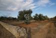 Terreno Agricolo in vendita a San Vito dei Normanni in contrada san giacomo - 03, Foto 3