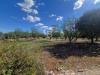 Terreno Agricolo in vendita a Ostuni in contrada san benedetto - 05, Foto 5